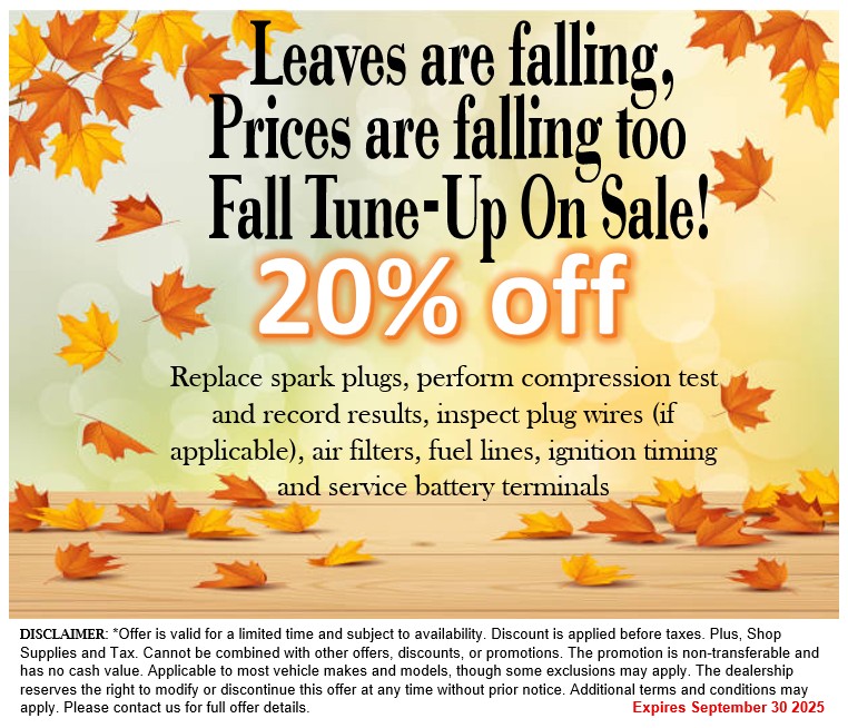 Fall Tune-Up on Sale